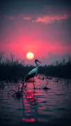 animal