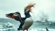 animal