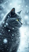 animal
