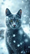 animal