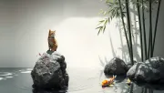 animal