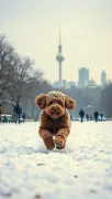 animal
