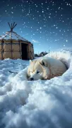 animal