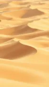 backgrounds