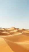 backgrounds