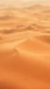 backgrounds