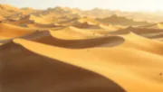 backgrounds
