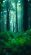 backgrounds
