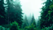 backgrounds