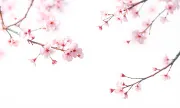 backgrounds