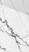 backgrounds
