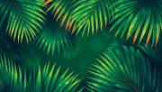 backgrounds