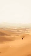 backgrounds