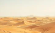 backgrounds