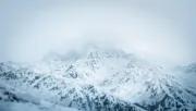 backgrounds