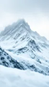 backgrounds