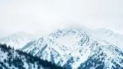 backgrounds
