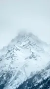 backgrounds