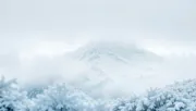 backgrounds