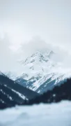 backgrounds