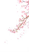 backgrounds