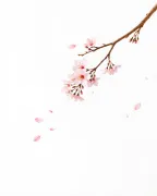 backgrounds