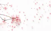 backgrounds