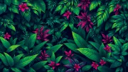 backgrounds