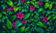 backgrounds