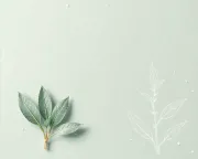 backgrounds