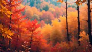 backgrounds