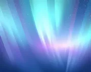 backgrounds
