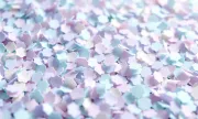 backgrounds