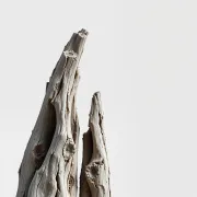 backgrounds