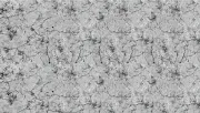 backgrounds