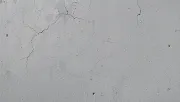 backgrounds