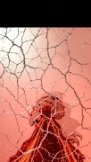 backgrounds