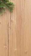 backgrounds