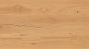 backgrounds