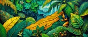 backgrounds