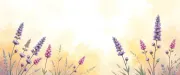backgrounds