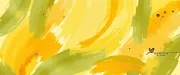 backgrounds