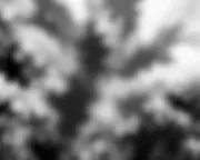 backgrounds
