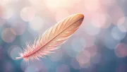 backgrounds