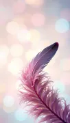backgrounds