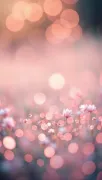 backgrounds