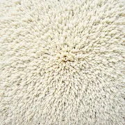 backgrounds
