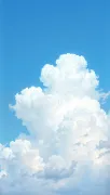 backgrounds