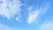 backgrounds