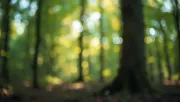backgrounds
